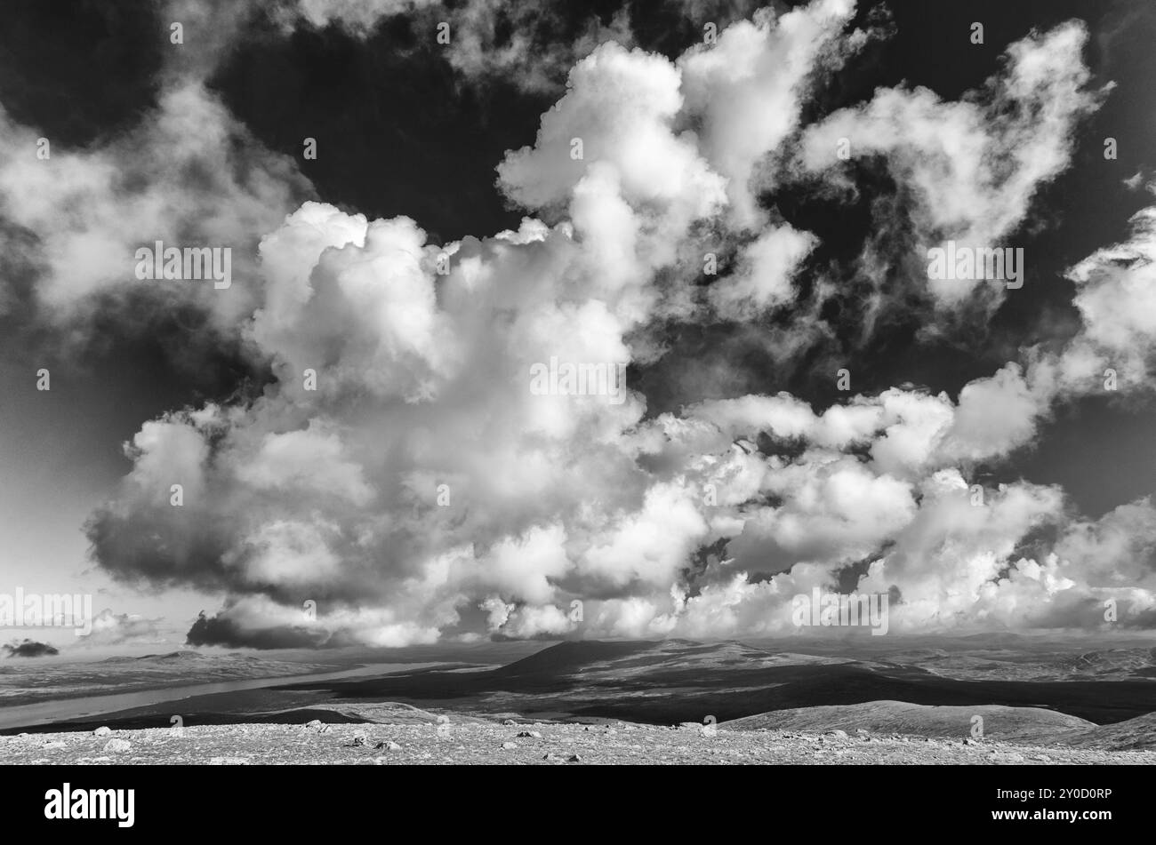 Vue de la montagne Elgahogna, parc national de Femundsmarka, au lac Femunden, Hedmar Fylke, Norvège, juillet 2011, Europe Banque D'Images