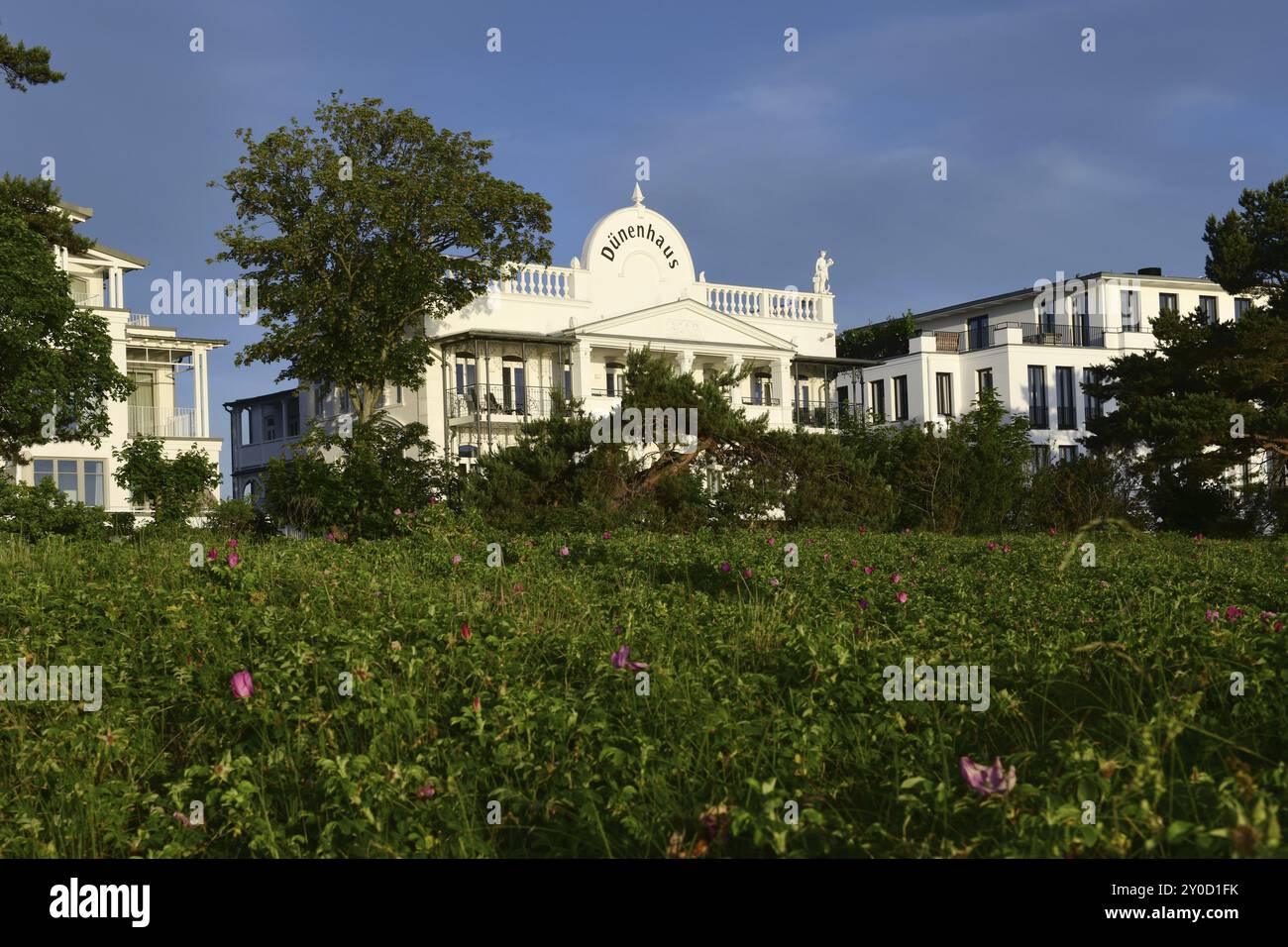 Élégante villa blanche derrière une prairie fleurie sous un ciel bleu, Ruegen (Binz 1) Banque D'Images