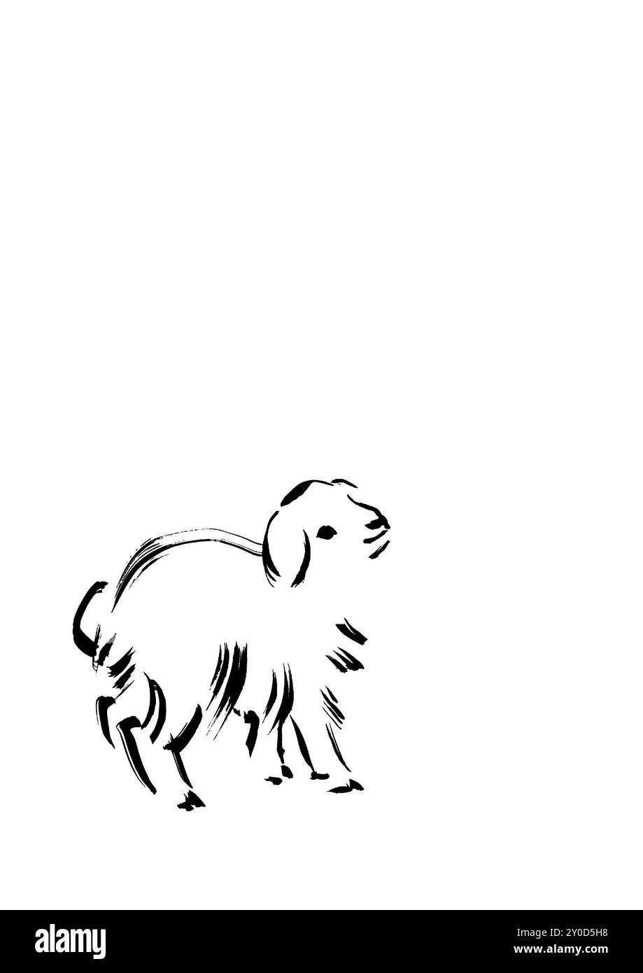 Le côté droit d'un agneau Uni Banque D'Images Le côté droit d'un agneau Uni Banque D'Images