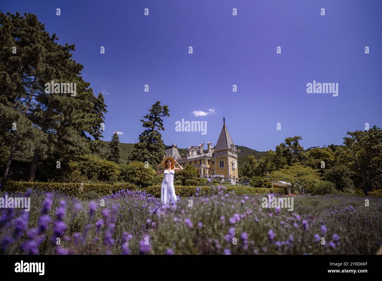 Une femme se tient debout dans un champ de fleurs violettes Banque D'Images