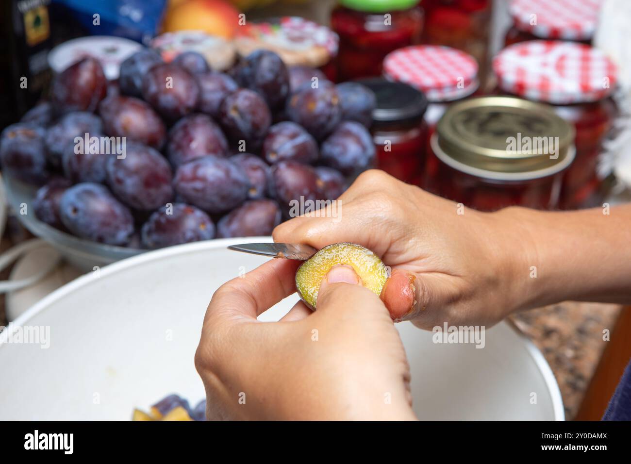 Femme enlevant la fosse d'une prune avec un couteau, se préparant à faire de la confiture Banque D'Images