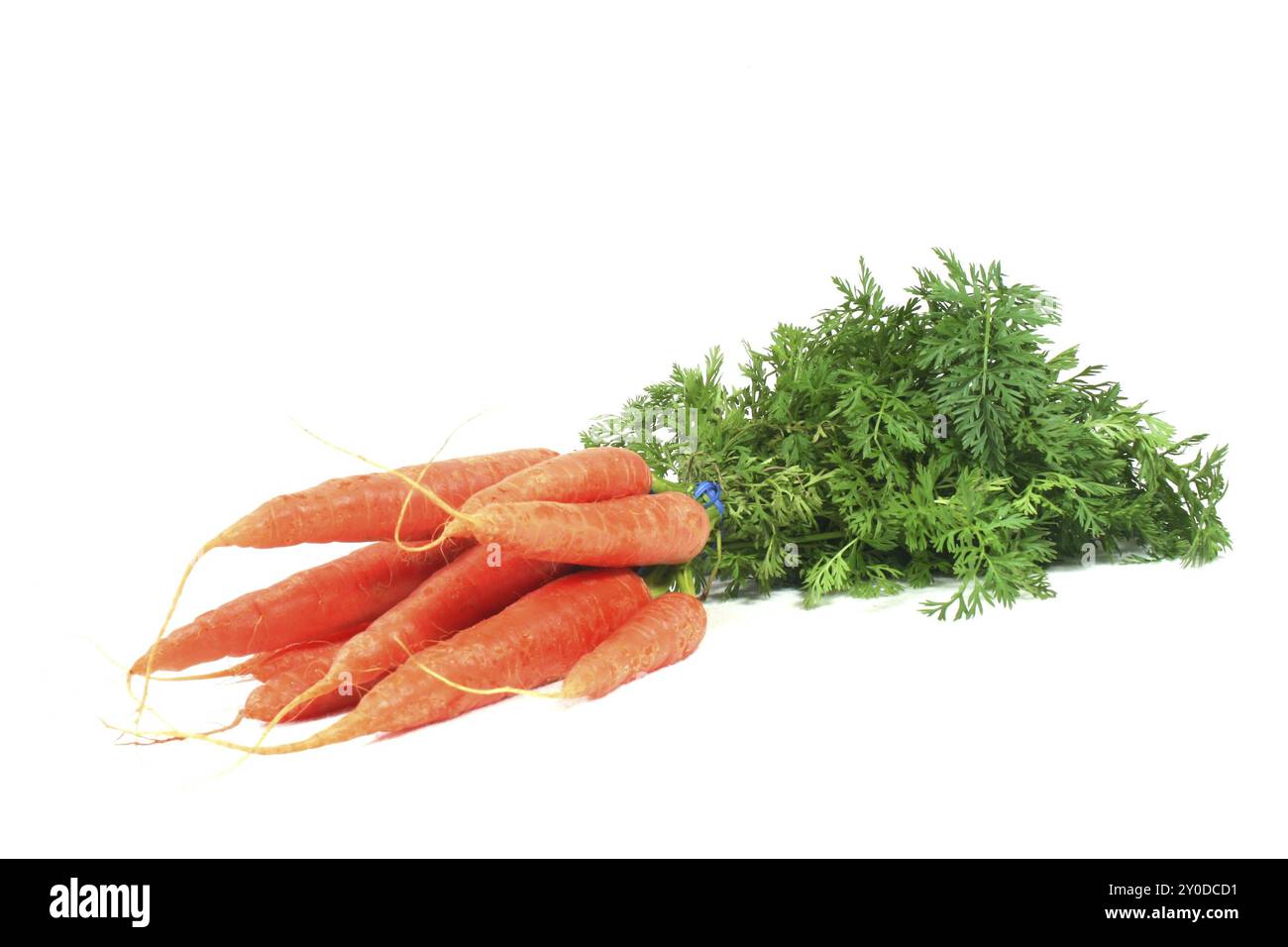 Un bouquet de carottes sur fond blanc Banque D'Images