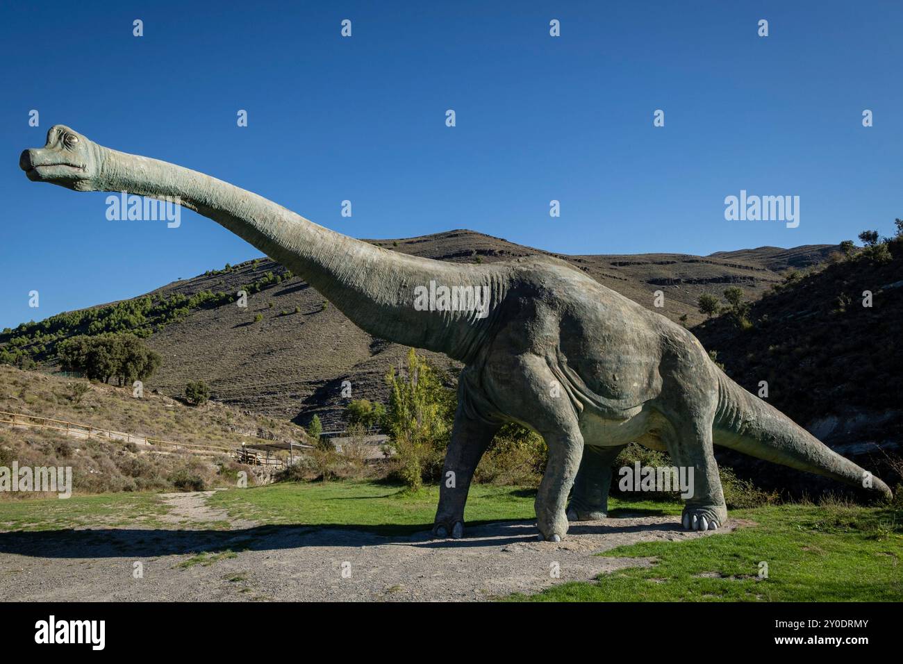 Brachiosaurus, reproduction grandeur nature, Brachiosaurus altithorax, site de Valdecevillo, Enciso, la Rioja, Espagne, Europe Banque D'Images