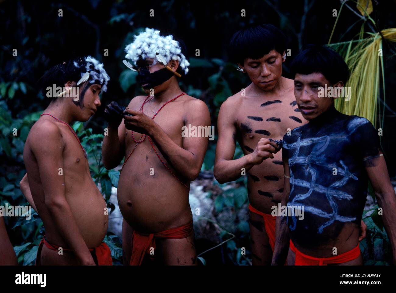 Les hommes indiens Yanomami peignent leurs corps et décorent leurs têtes avec des vautours vers le bas en préparation d'un festin. Dans la forêt amazonienne au sud du Venezuela. Banque D'Images