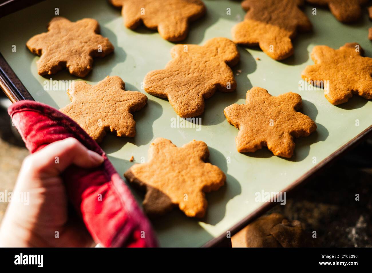 Biscuits au pain d'épices fraîchement cuits sortis du four Banque D'Images