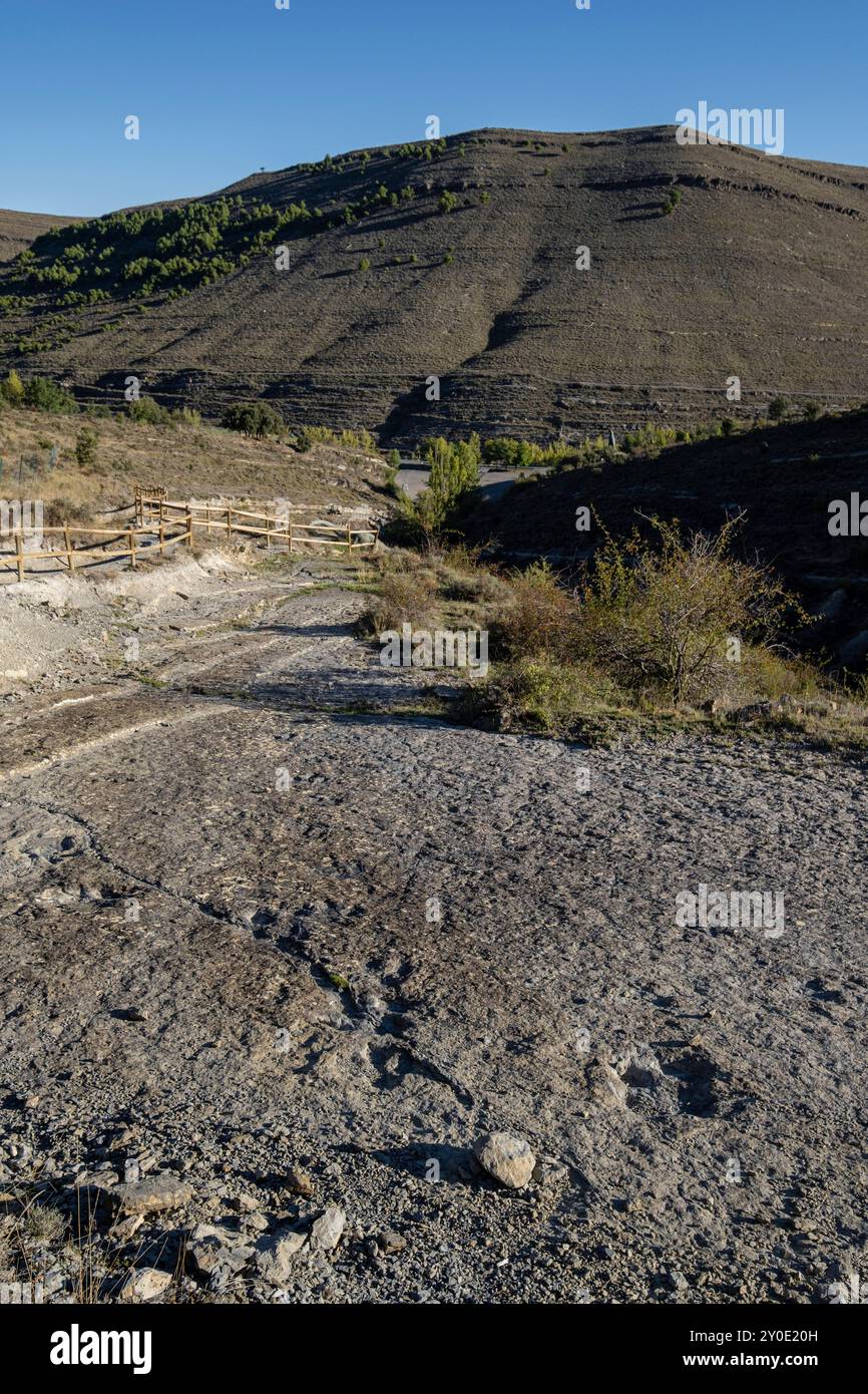 Traces de dinosaures, site de Valdecevillo, Enciso, la Rioja , Espagne, Europe Banque D'Images