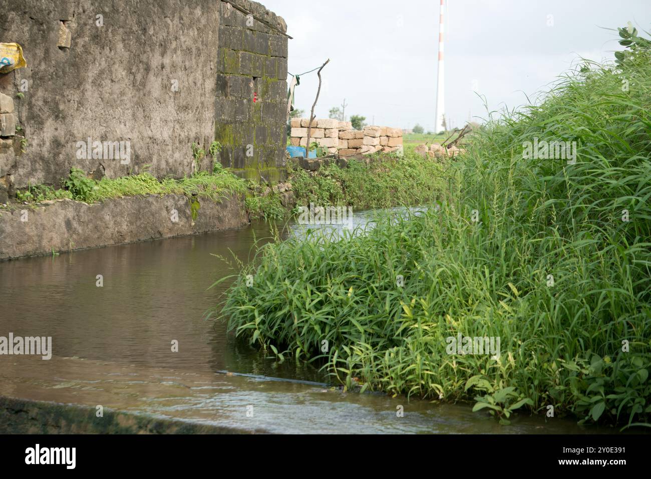 Voie navigable surplombée entourée de débris et de végétation - conséquences écologiques Banque D'Images