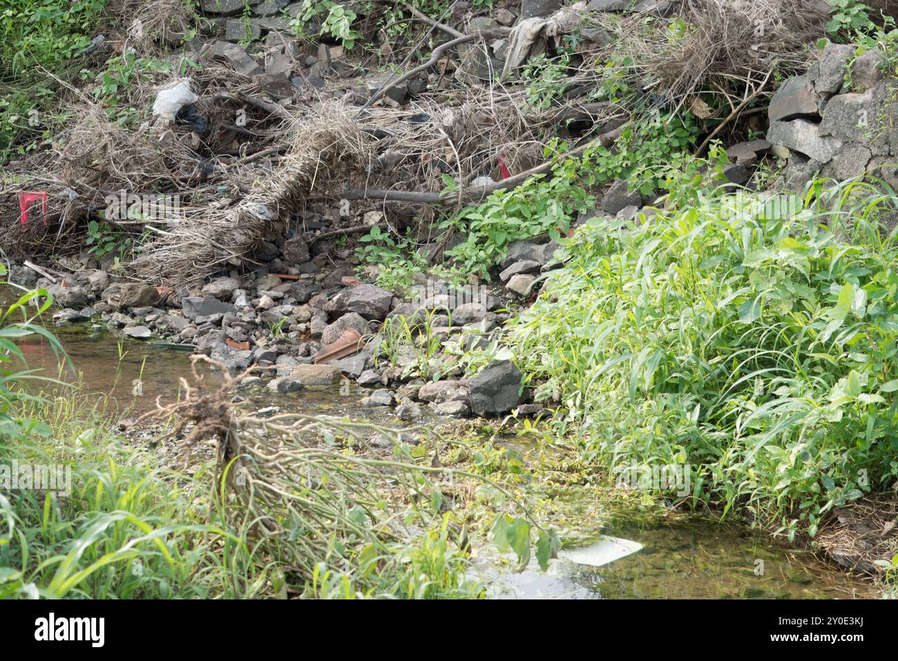 Voie navigable négligée au milieu des débris et de la verdure - impact environnemental Banque D'Images