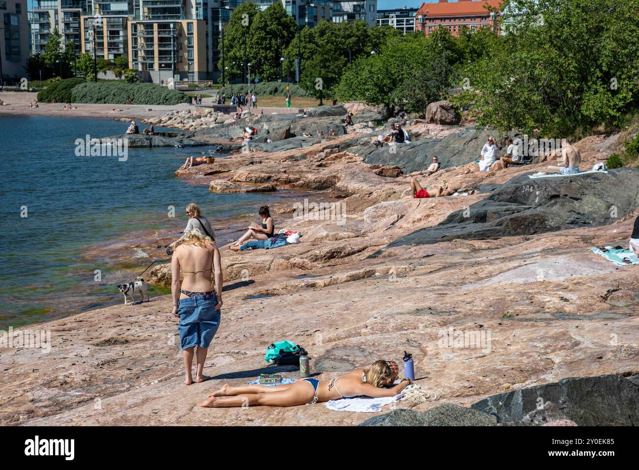 La veille de la mi-été dans la ville ; les gens bronzent sur Ursinin kallio au bord de la mer dans le district d'Eira à Helsinki, Finlande Banque D'Images