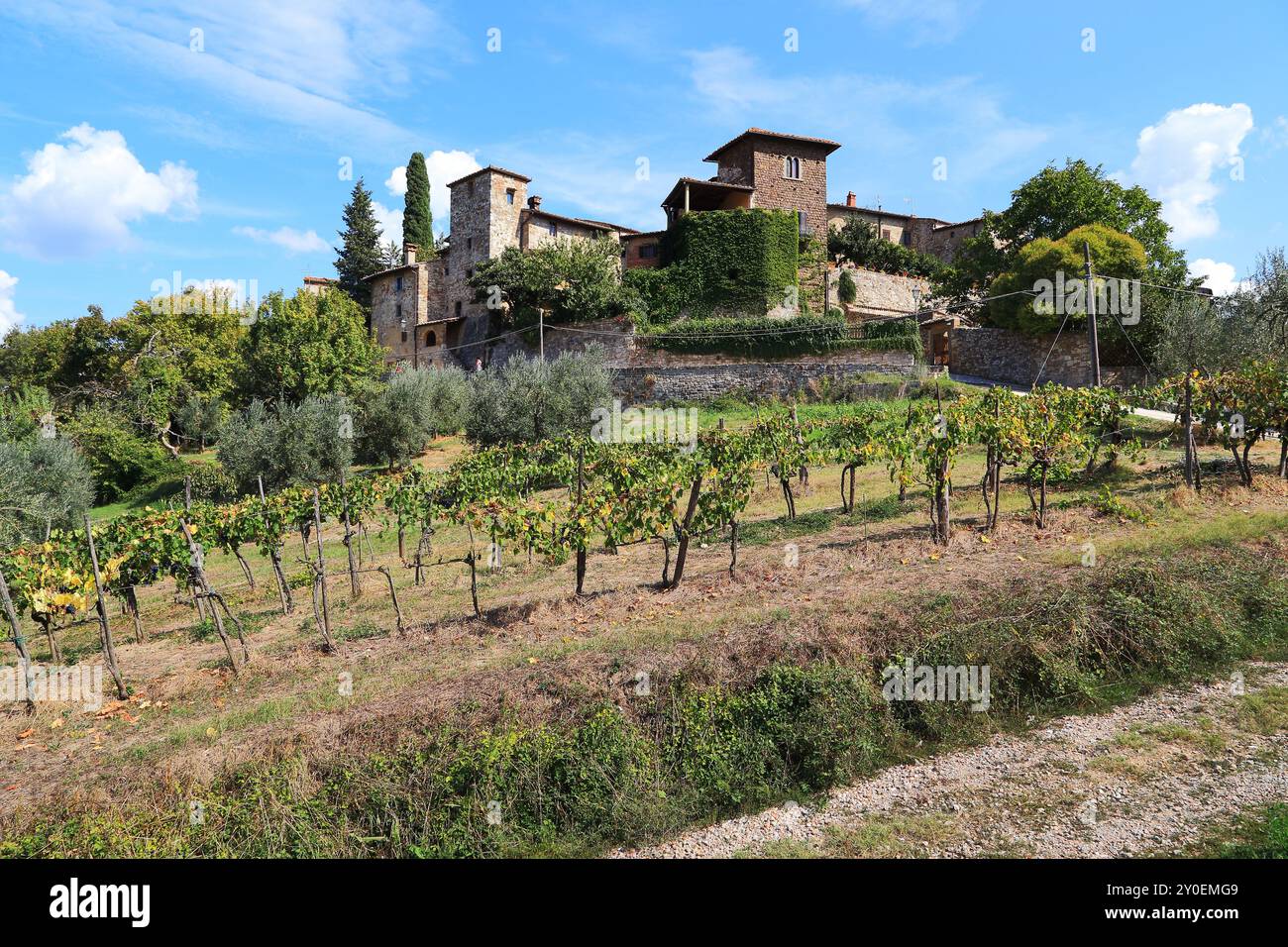 MONTEFIORALLE, ITALIE - 15 SEPTEMBRE 2018 : C'est une ancienne colonie médiévale dans la région du Chianti Classic, entourée de vignes et d'oliviers. Banque D'Images