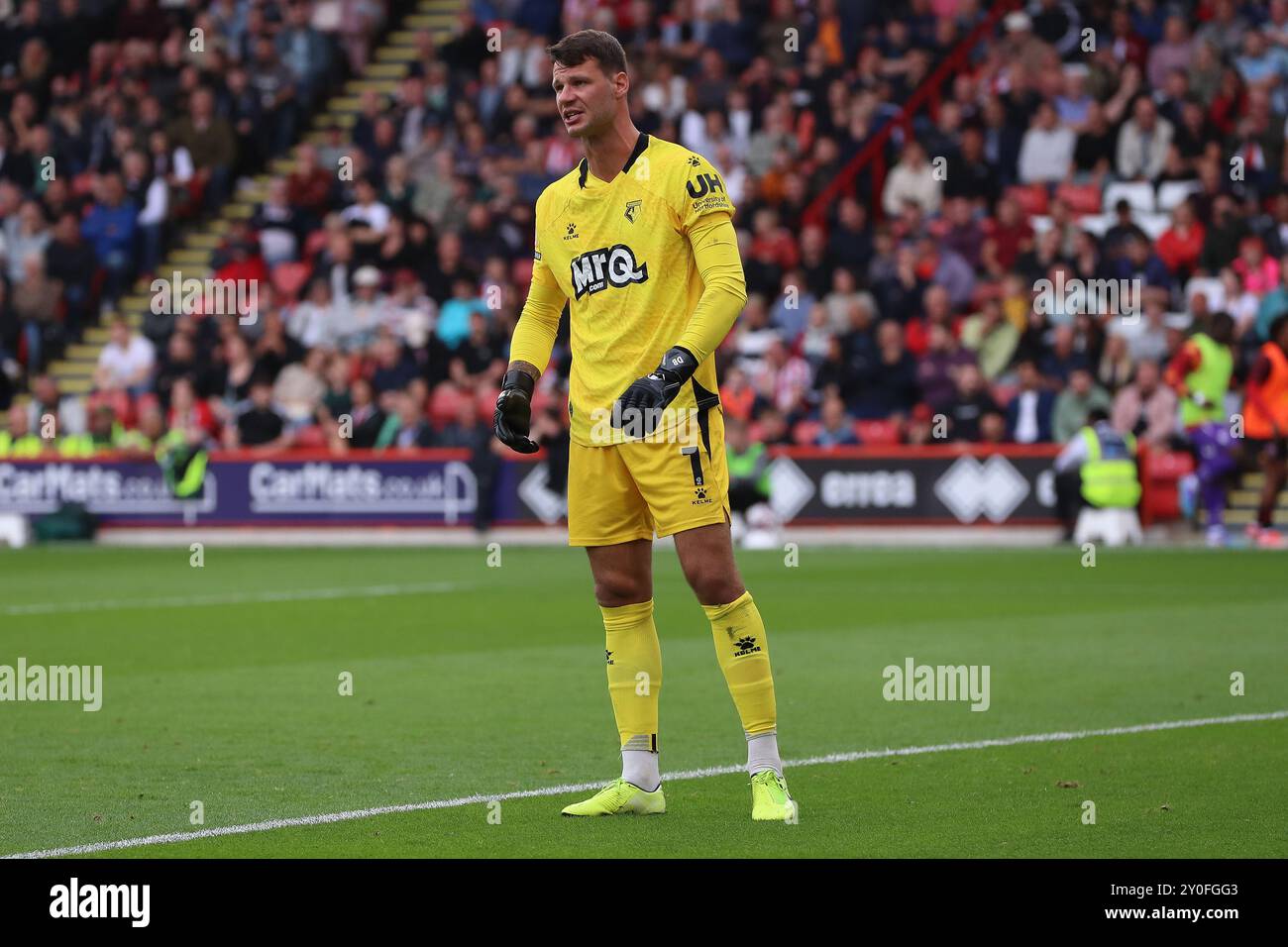 Daniel Bachmann de Watford lors du Sheffield United FC vs Watford FC Sky Bet EFL Championship match à Bramall Lane, Sheffield, Angleterre, Royaume-Uni le 1er septembre 2024 Banque D'Images