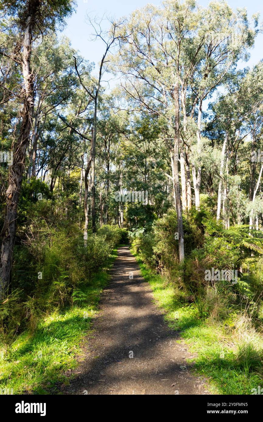 Réserve linéaire de Mt Evelyn Aqueduct Trail à Melbourne en Australie Banque D'Images