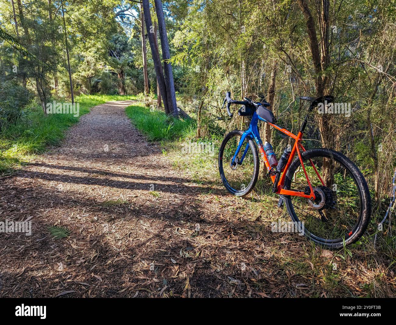 Réserve linéaire de Mt Evelyn Aqueduct Trail à Melbourne en Australie Banque D'Images