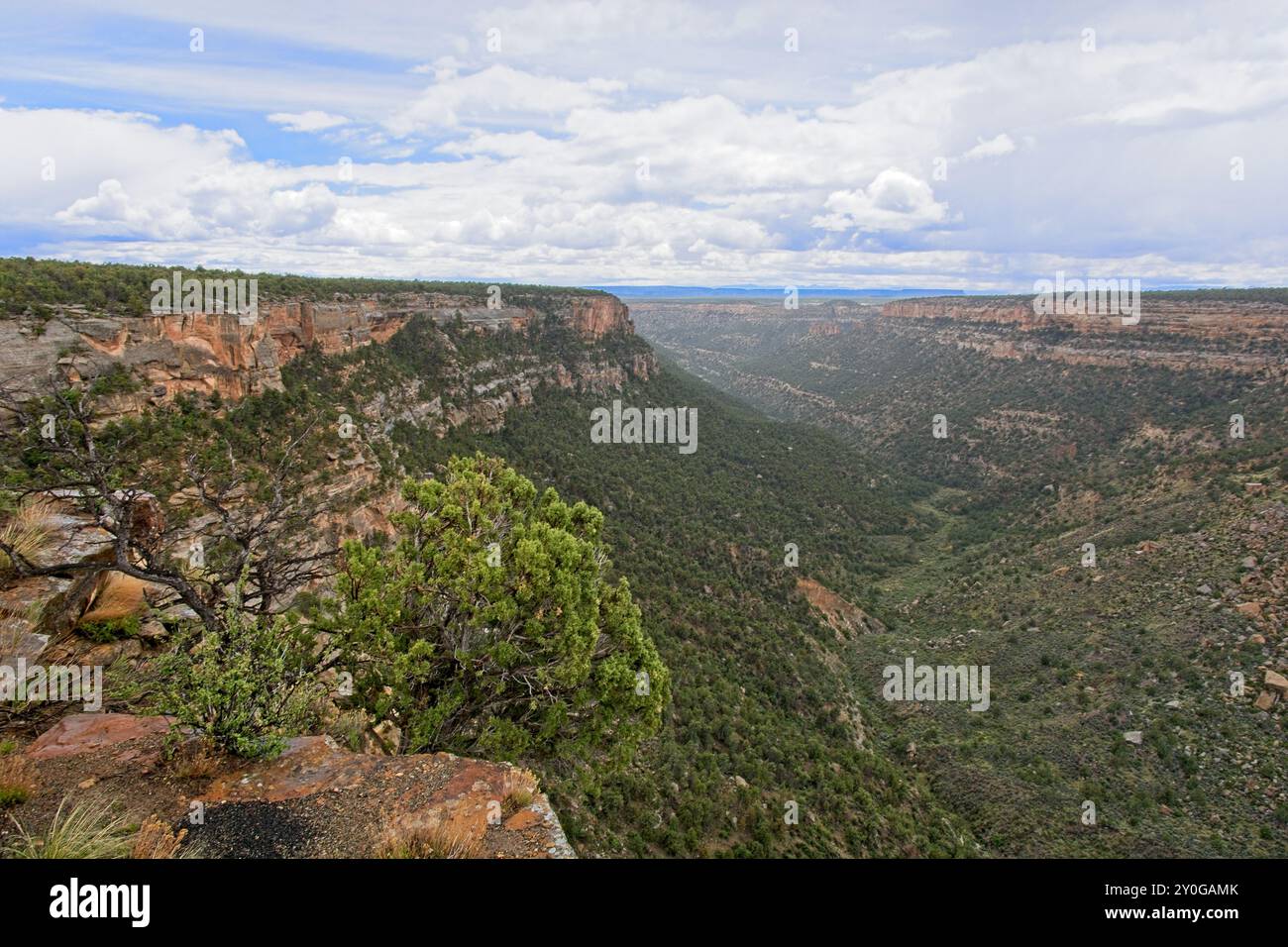 Roche rouge canyon Navaho couvert de végétation verte sous ciel rempli de nuages Banque D'Images
