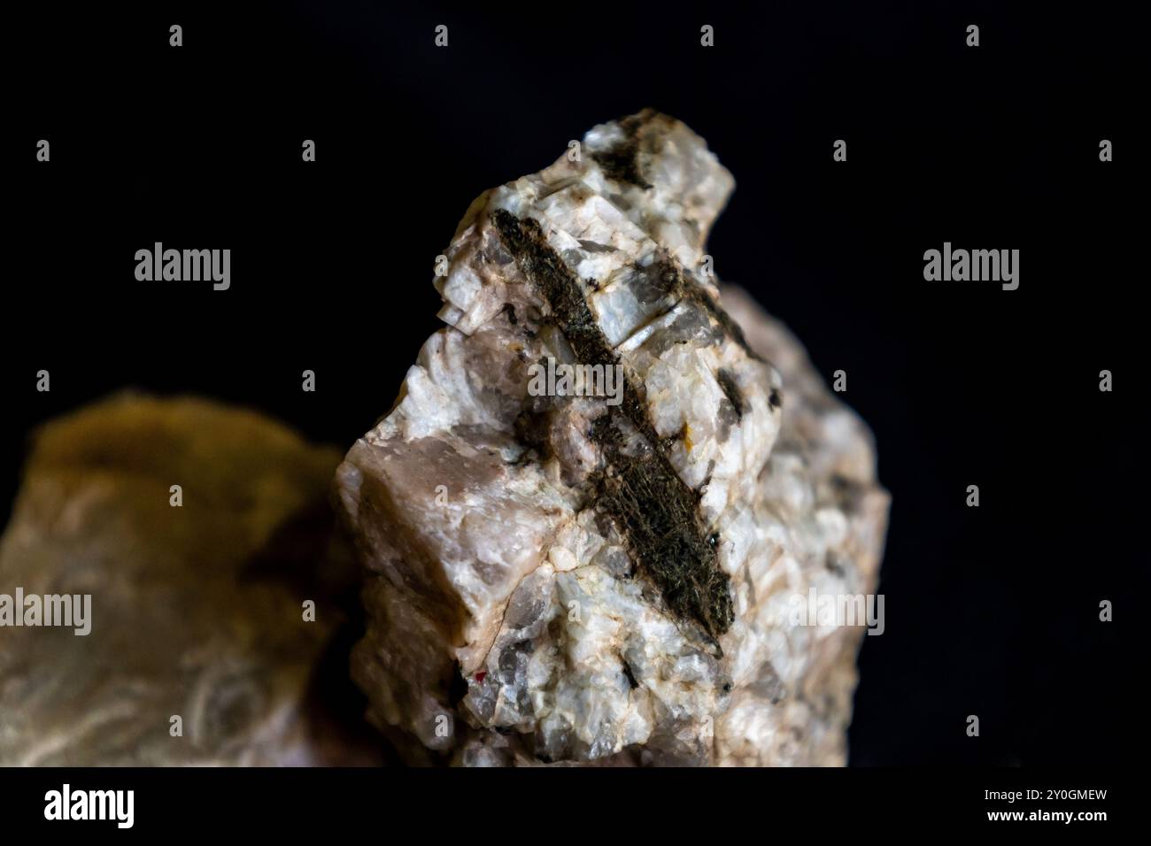 Gros plan d'un échantillon d'une pegmatite granitique composée principalement de feldspath plagioclase et de biotite. Banque D'Images
