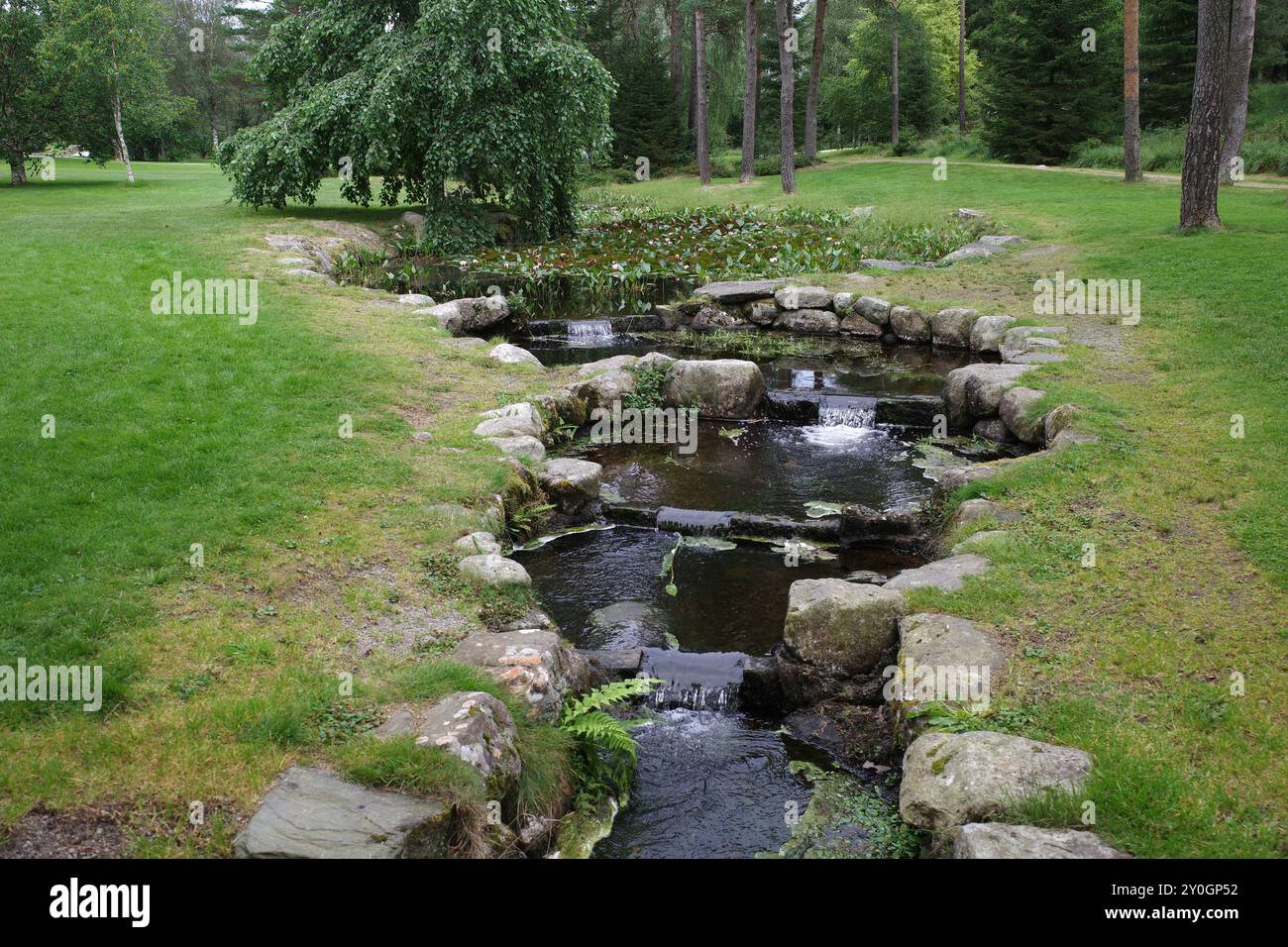 Un étang de nénuphars qui se transforme en ruisseau avec de petites cascades à Rogaland Arboret, Norvège Banque D'Images