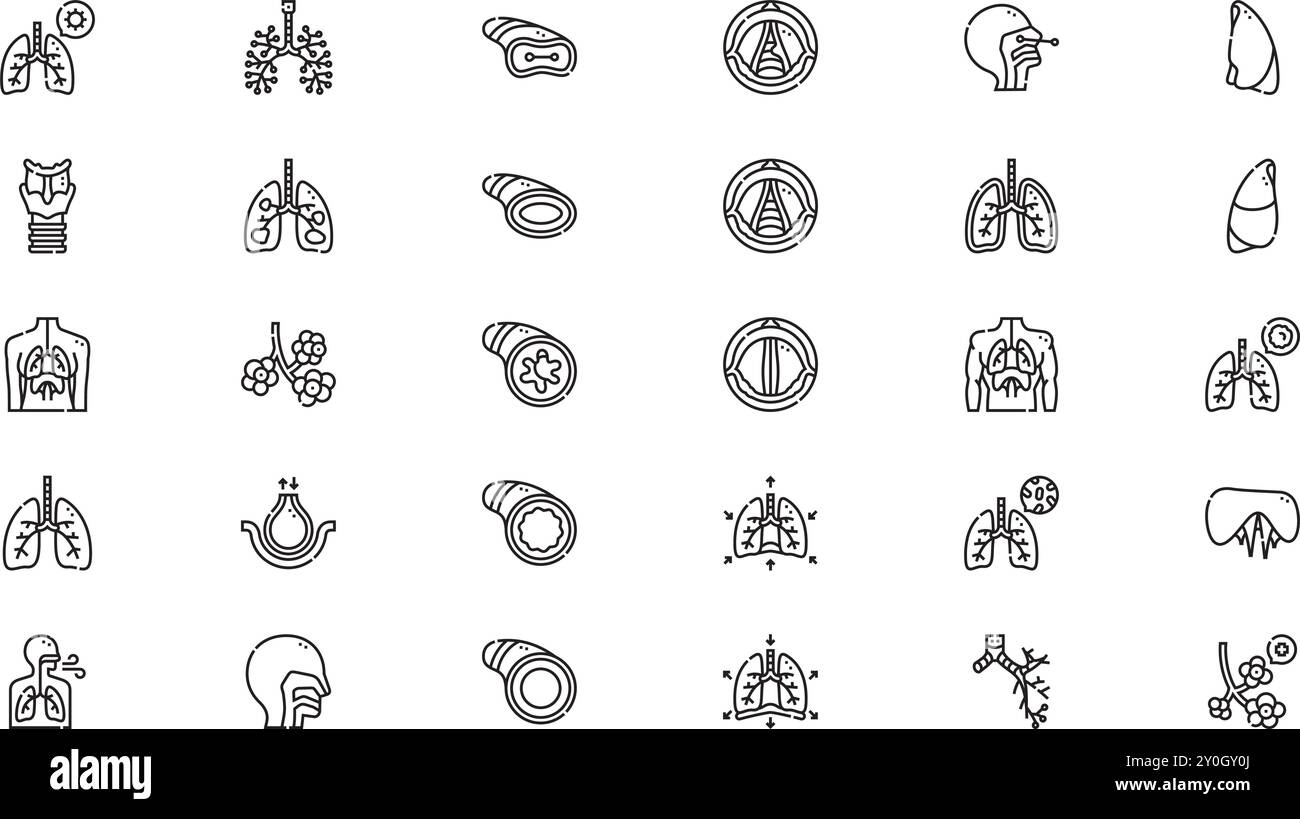 Icônes du système respiratoire Collection d'icônes vectorielles de haute qualité avec contour modifiable. Idéal pour les projets professionnels et créatifs. Illustration de Vecteur