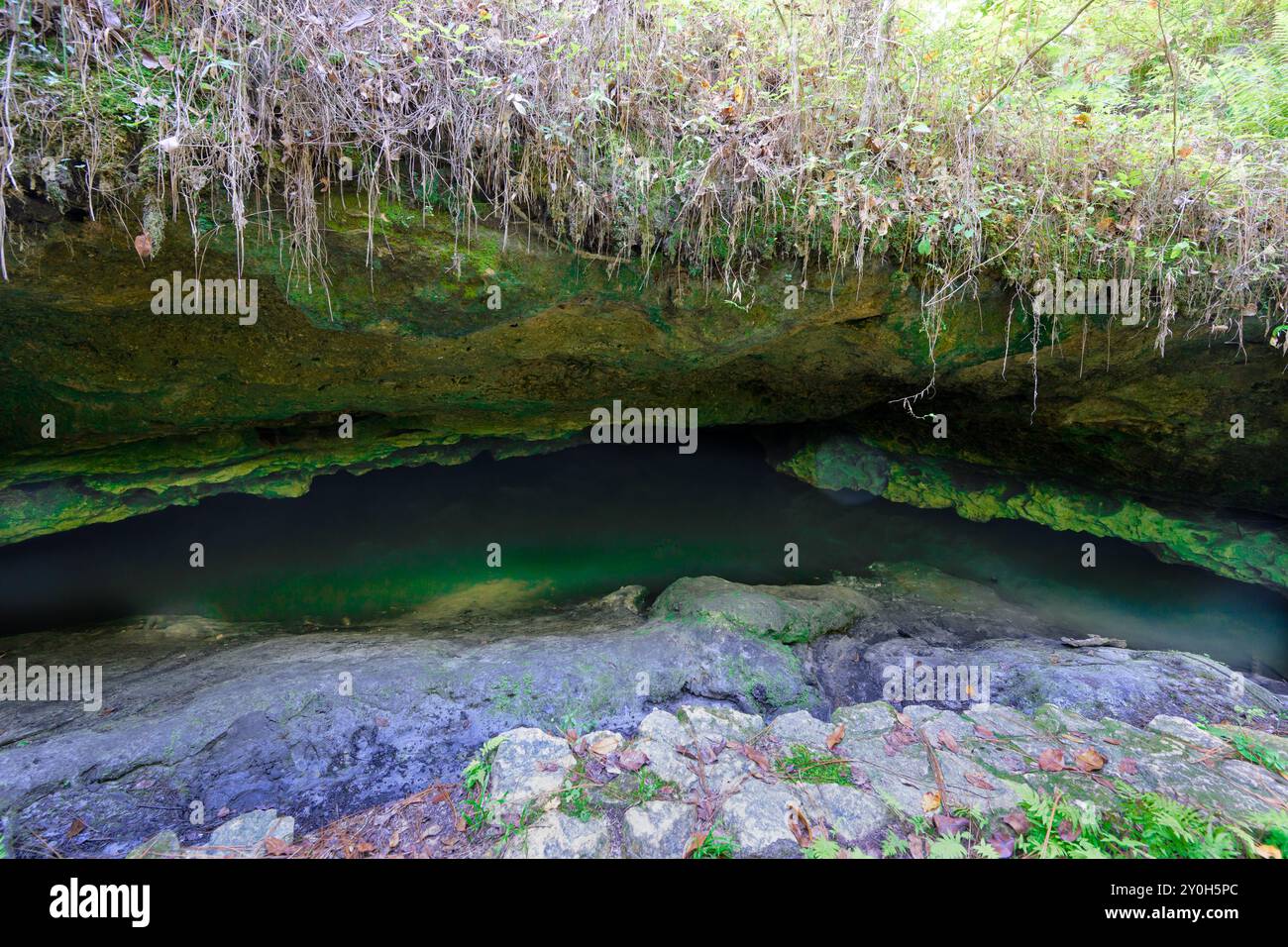 Embarquez pour une aventure à Gopher Sink et Leon Sink, où les anciennes grottes d'eau révèlent un monde souterrain caché. Plongez dans les mystères en dessous Banque D'Images