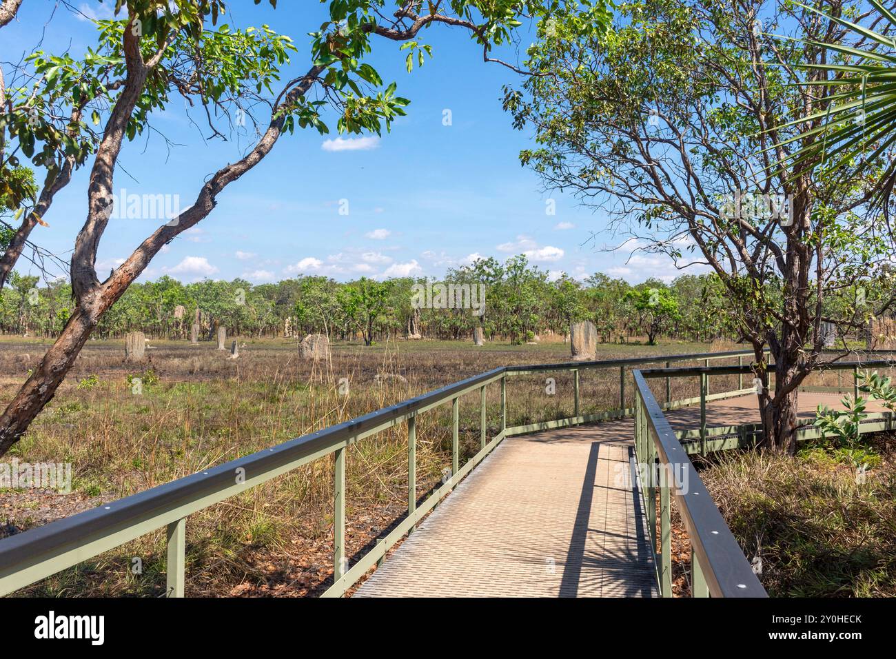 Passerelle vers Magnetic Termite Mounds (Nasutitermes triodiae), parc national de Litchfield, parc de Litchfield, territoire du Nord, Australie Banque D'Images