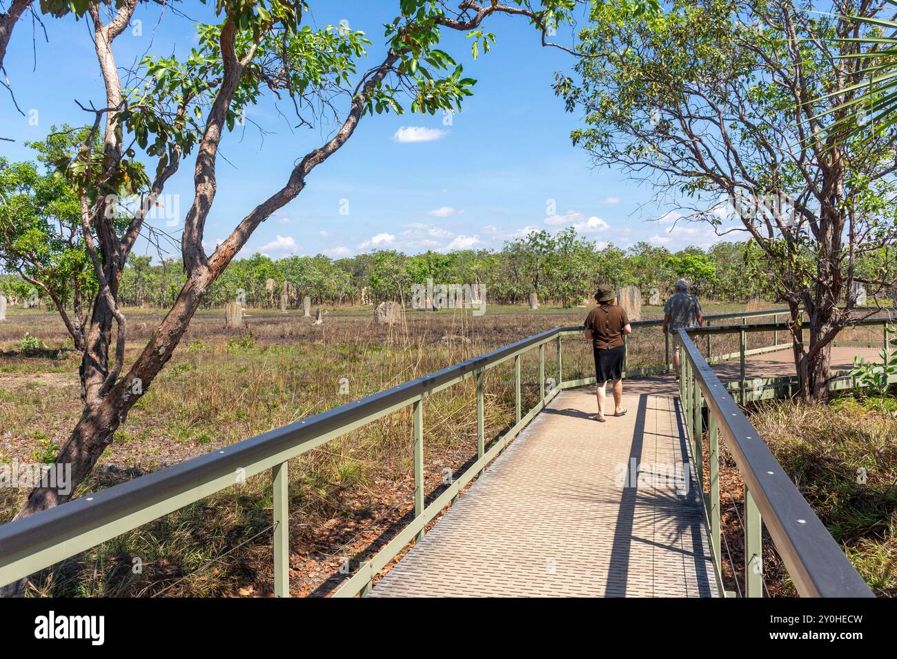 Passerelle vers Magnetic Termite Mounds (Nasutitermes triodiae), parc national de Litchfield, parc de Litchfield, territoire du Nord, Australie Banque D'Images