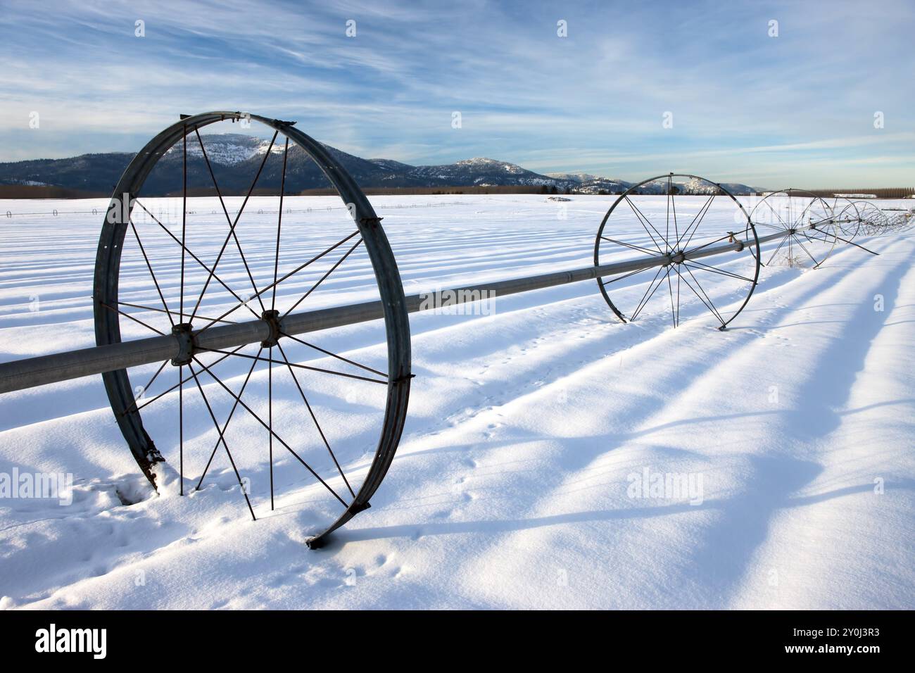 Un champ agricole couvert de neige avec un tuyau d'irrigation et des roues sur la prairie de Rathdrum dans le nord de l'Idaho Banque D'Images