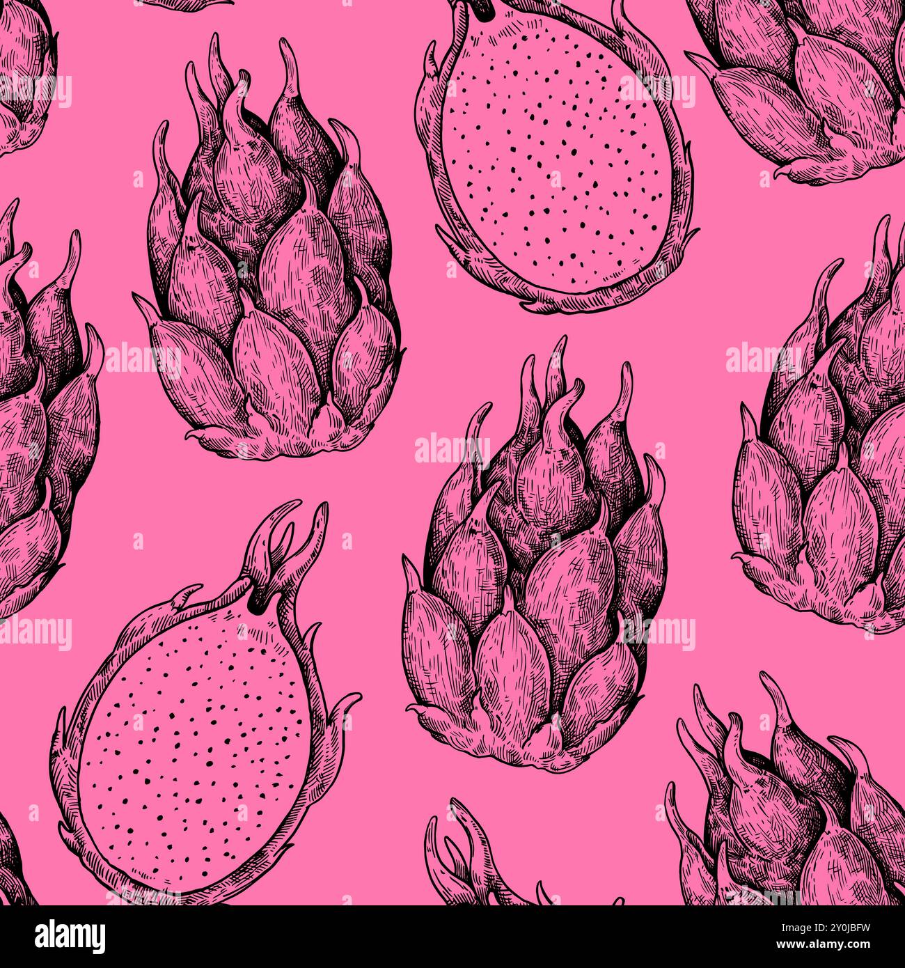 Modèle sans couture avec des fruits de dragon. Illustration monochrome dans un style rétro. Illustration de Vecteur