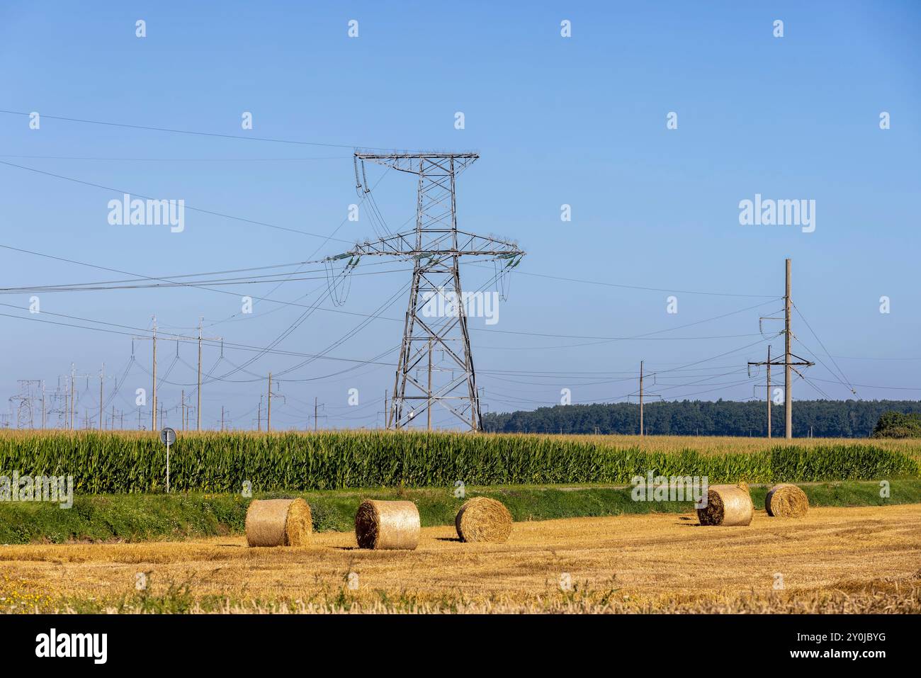 Poteaux métalliques pour fournir de l'électricité à divers bâtiments, poteaux haute tension avec des lignes électriques métalliques contre le ciel bleu en été Banque D'Images