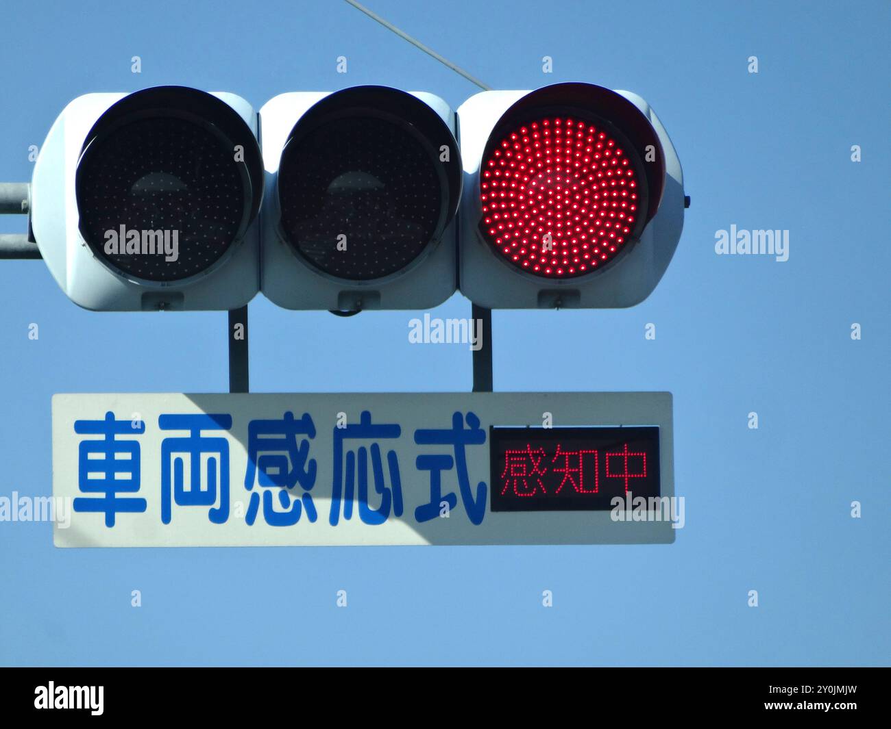 Feux de circulation du type à réponse Banque D'Images