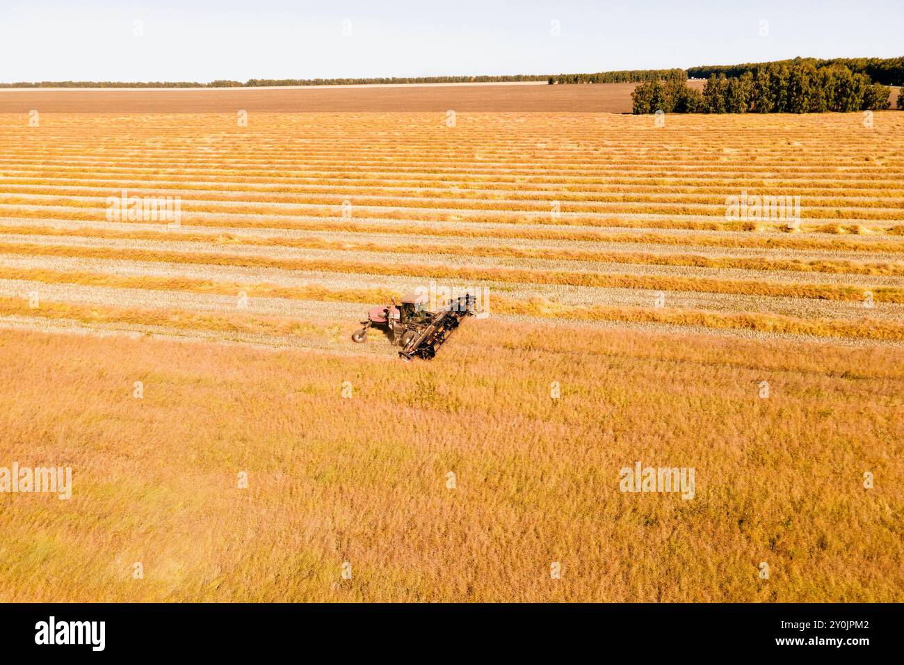 Vue aérienne sur la moissonneuse-batteuse travaille sur le grand champ de blé. La fenaison et de la récolte au début de l'automne sur le terrain. Tracteur tond l'herbe sèche. Preparatio Banque D'Images