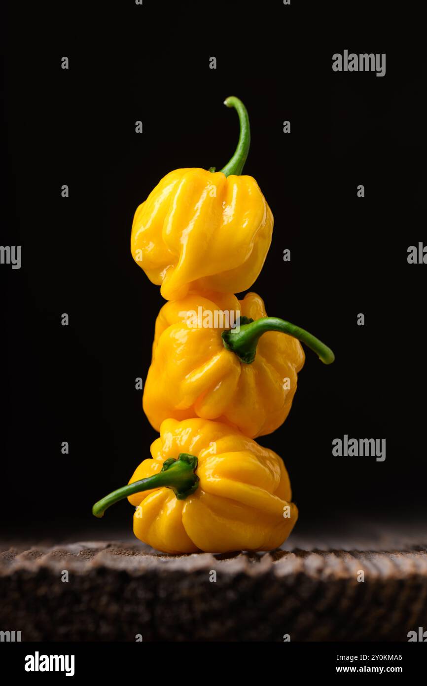 Tour de poivrons habanero jaunes mûrs (capsicum chinense) sur fond noir. Poivrons mexicains très chauds sur la table en bois rustique de près Banque D'Images