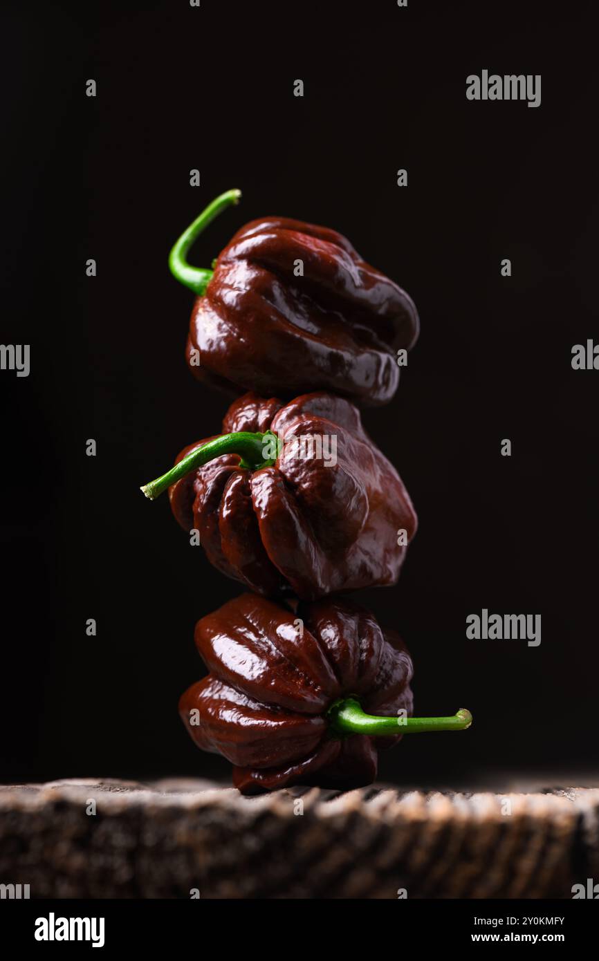 Tour de poivrons habanero au chocolat mûrs (capsicum chinense) sur fond noir. Poivrons mexicains très chauds sur la table en bois rustique de près Banque D'Images