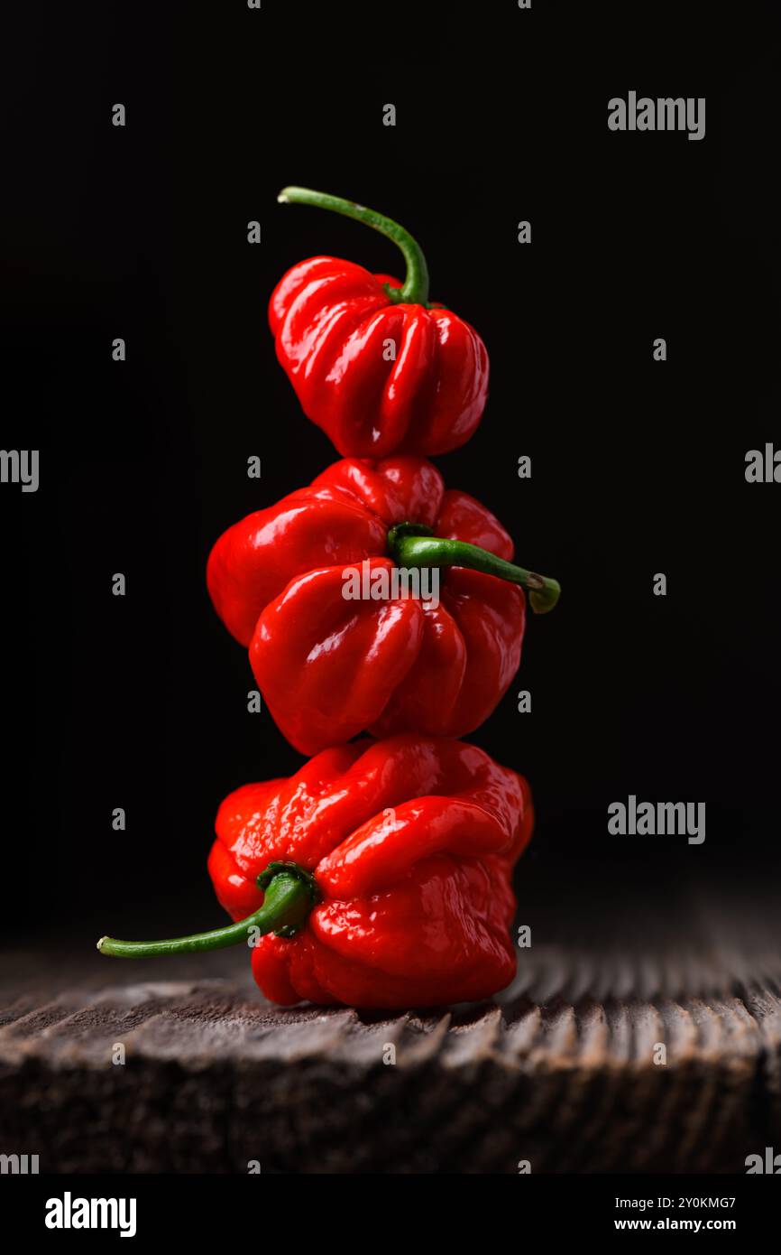 Tour de poivrons rouges habanero mûrs (capsicum chinense) sur fond noir. Poivrons mexicains très chauds sur la table en bois rustique de près Banque D'Images