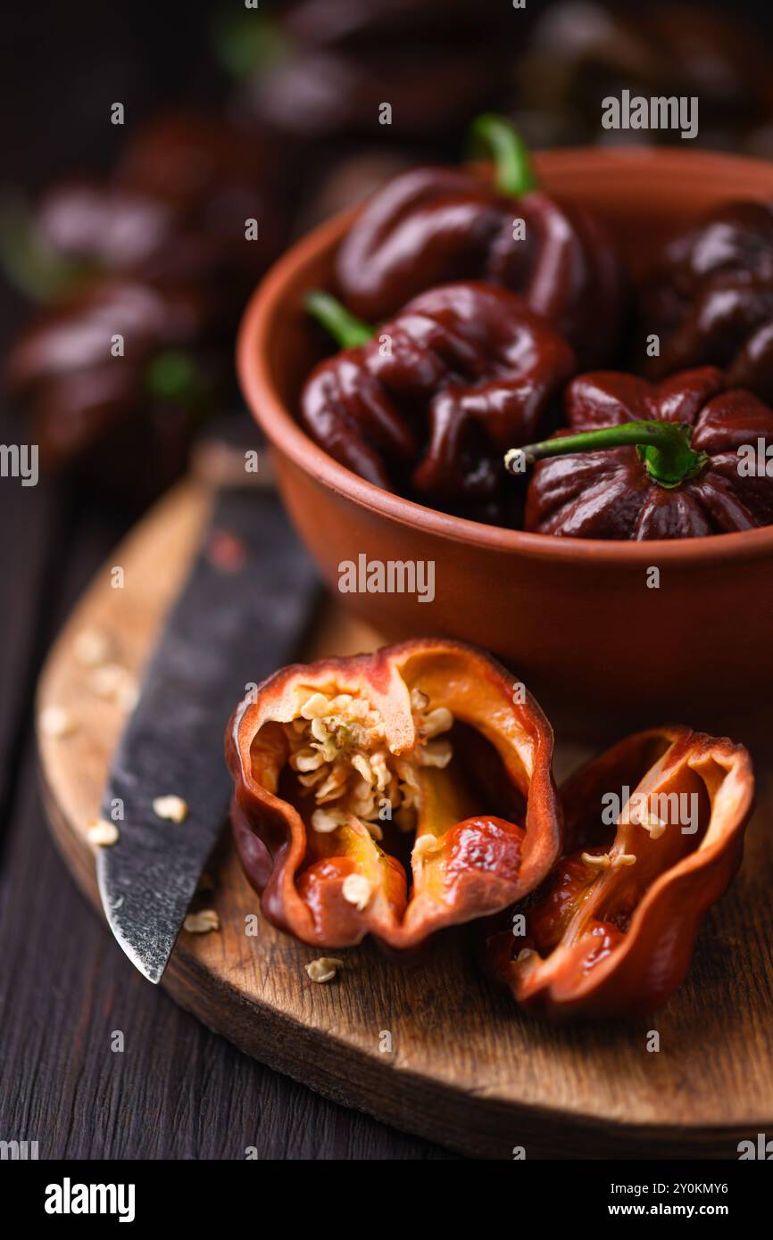 Poivrons habanero au chocolat affinés (capsicum chinense) sur planche à découper en bois. Poivrons mexicains très chauds sur la table en bois rustique de près Banque D'Images