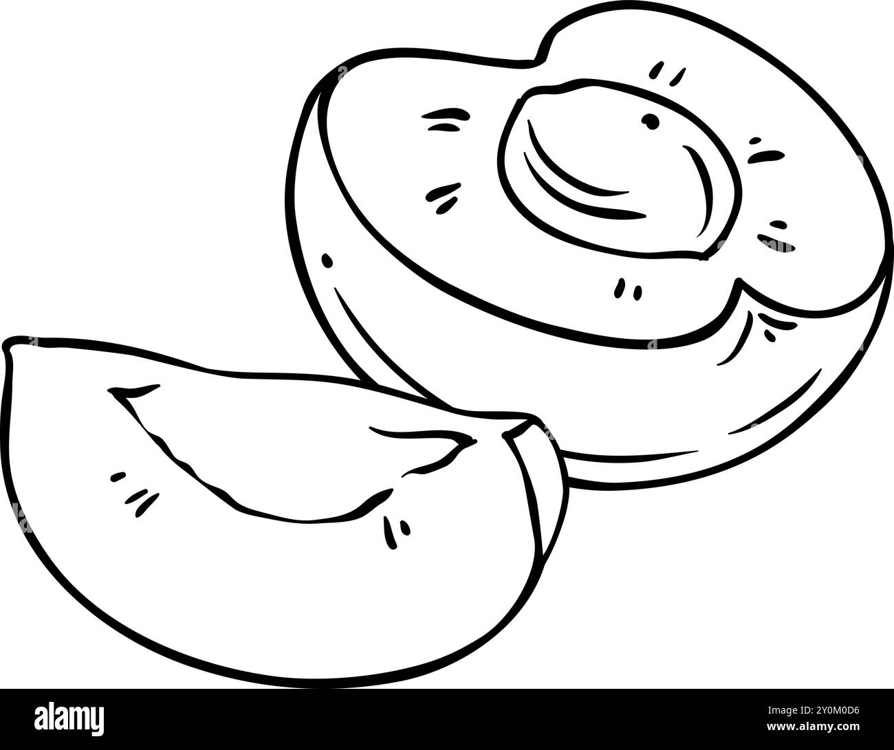 Illustration de contour isolé de fruit d'abricot. Illustration de Vecteur