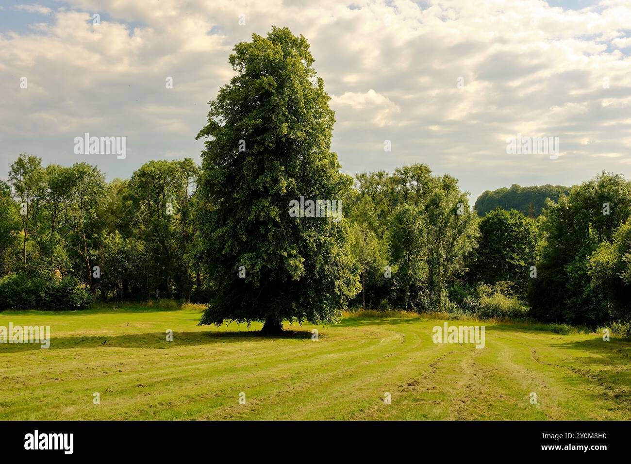 Beau paysage pittoresque et verdoyant de la campagne anglaise dans les abattoirs, Bourton sur l'eau, Cotswolds, Gloucestershire, Angleterre, Royaume-Uni Banque D'Images