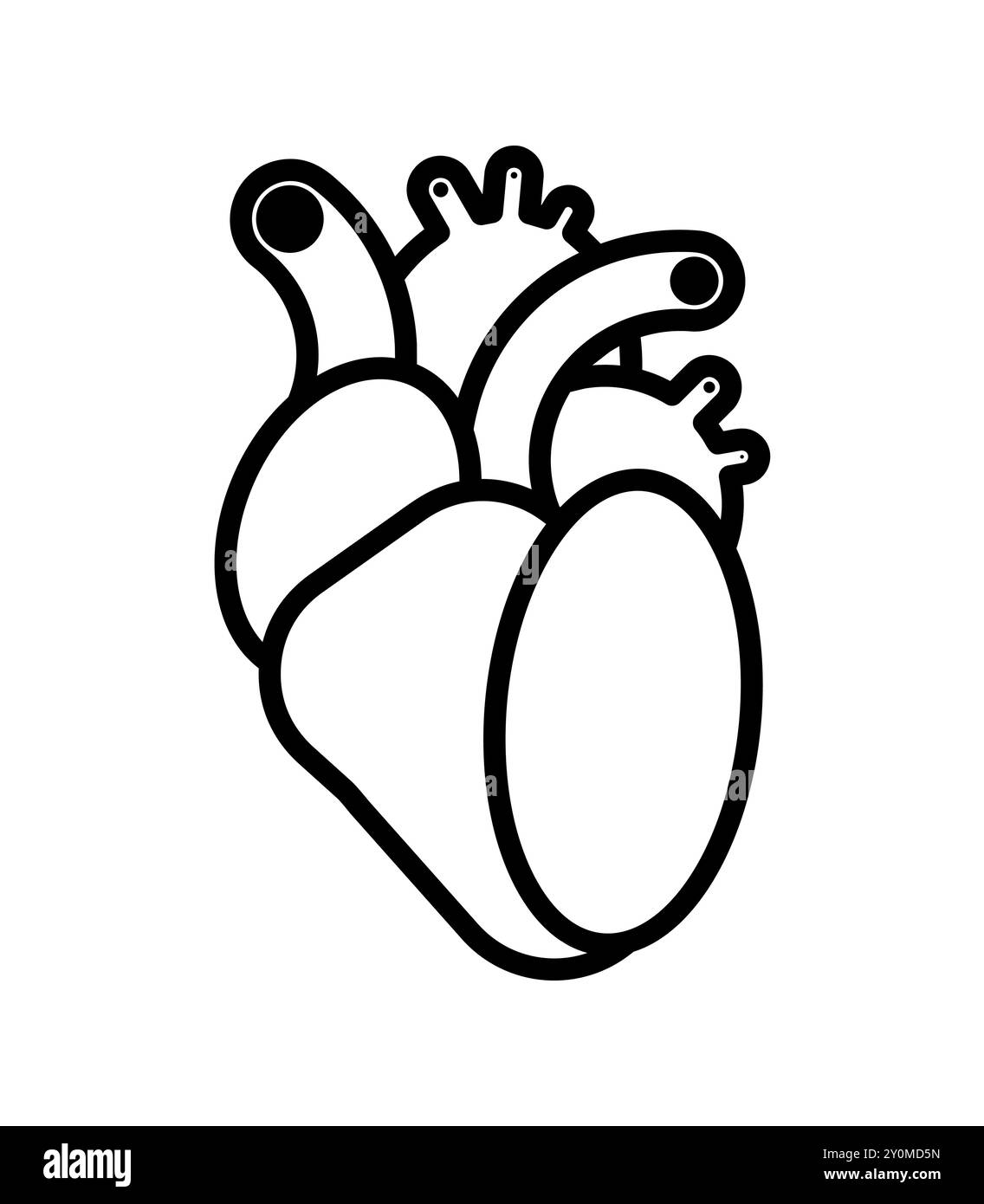 Symbole d'icône de coeur anatomique. symbole de coeur Illustration de Vecteur