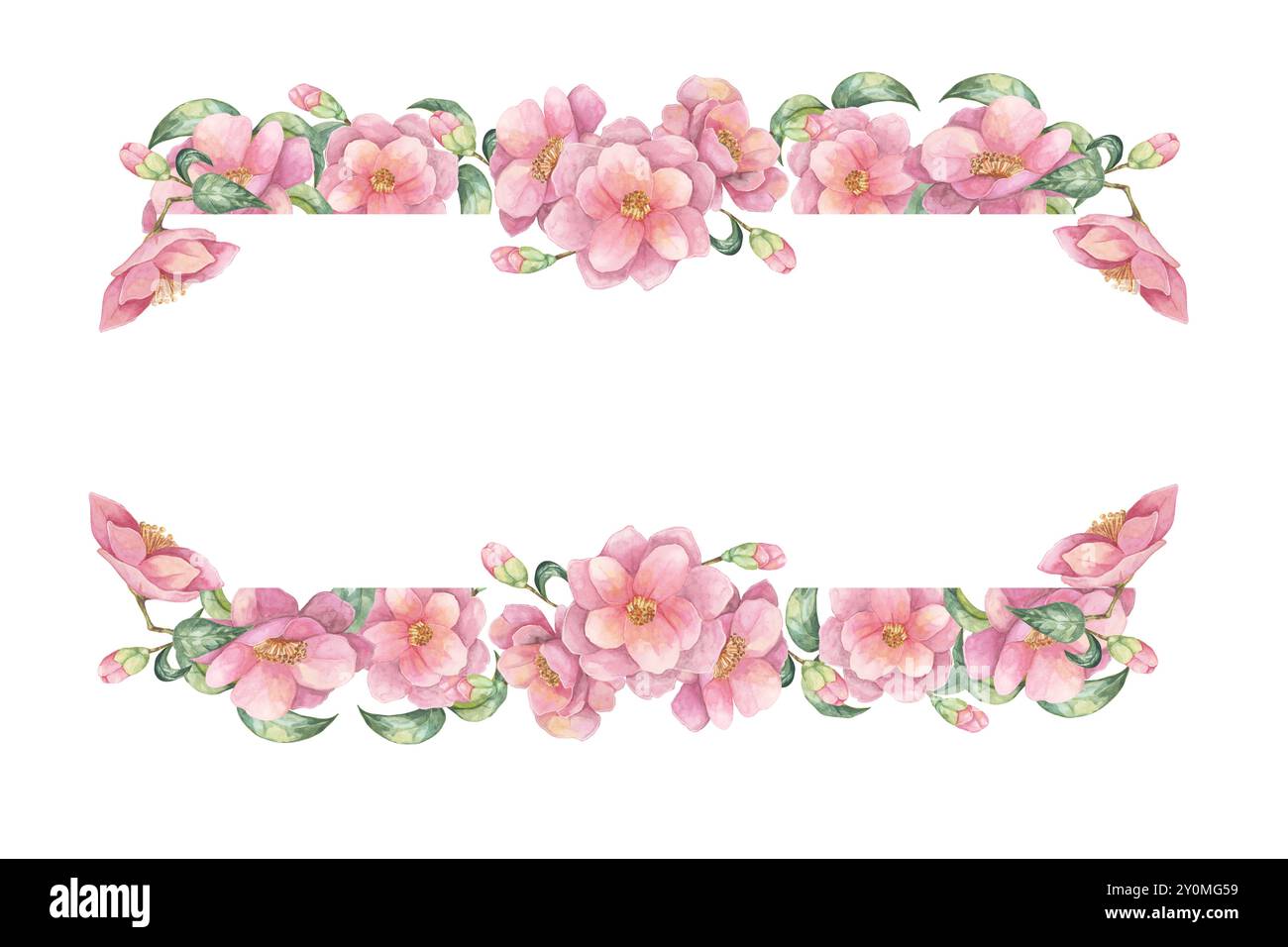 Cadre camélia de forme rectangulaire avec des fleurs roses et un feuillage vert. Clipart aquarelle florale isolé pour créer des invitations de mariage, papeterie, anniversaire ou enregistrer les cartes de date Banque D'Images