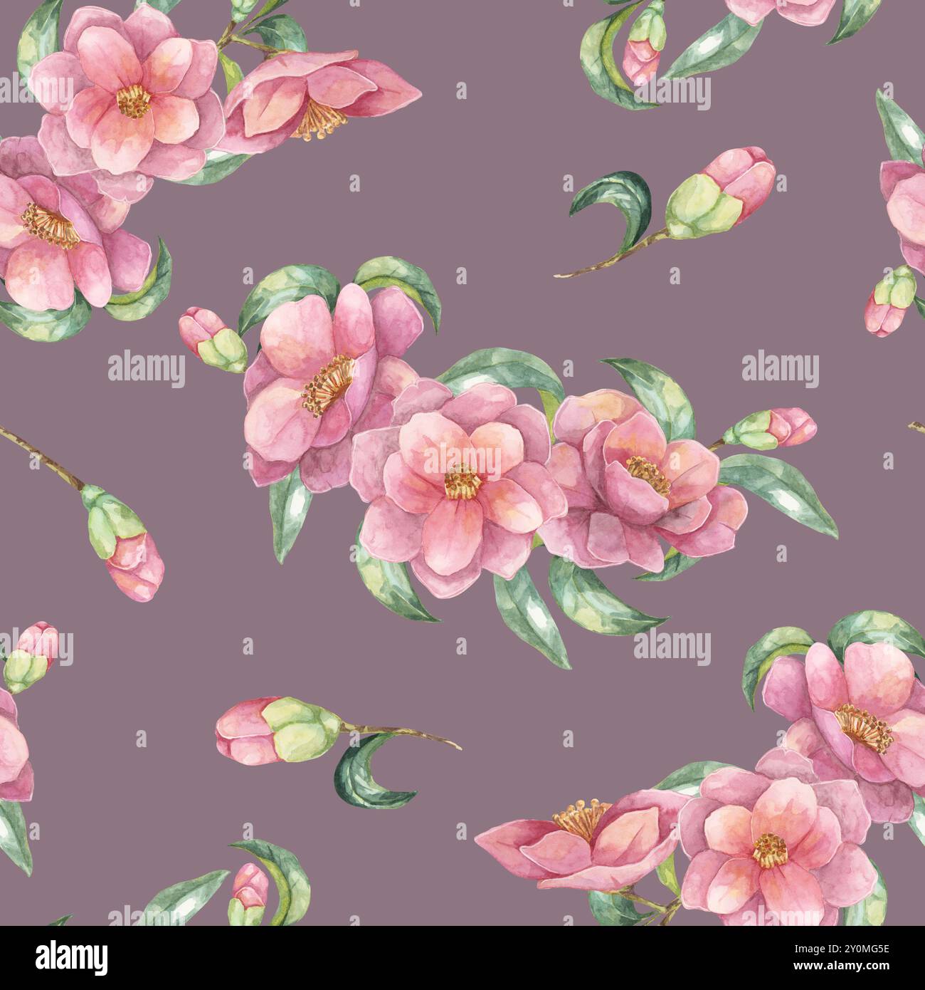 Un motif sans couture de fleurs de camélia roses et de feuilles vertes sur un fond mauve muet. Clipart aquarelle florale parfait pour les textiles de mode, le papier peint ou l'emballage de produits décoratifs. Banque D'Images