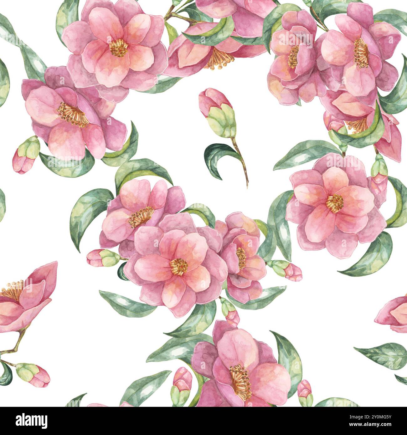 Un clipart de motif aquarelle sans couture de fleurs de camélia roses avec des feuilles vertes et des bourgeons. Ce motif floral est parfait pour une utilisation dans les invitations, les imprimés en tissu, les textiles de maison, les coussins Banque D'Images