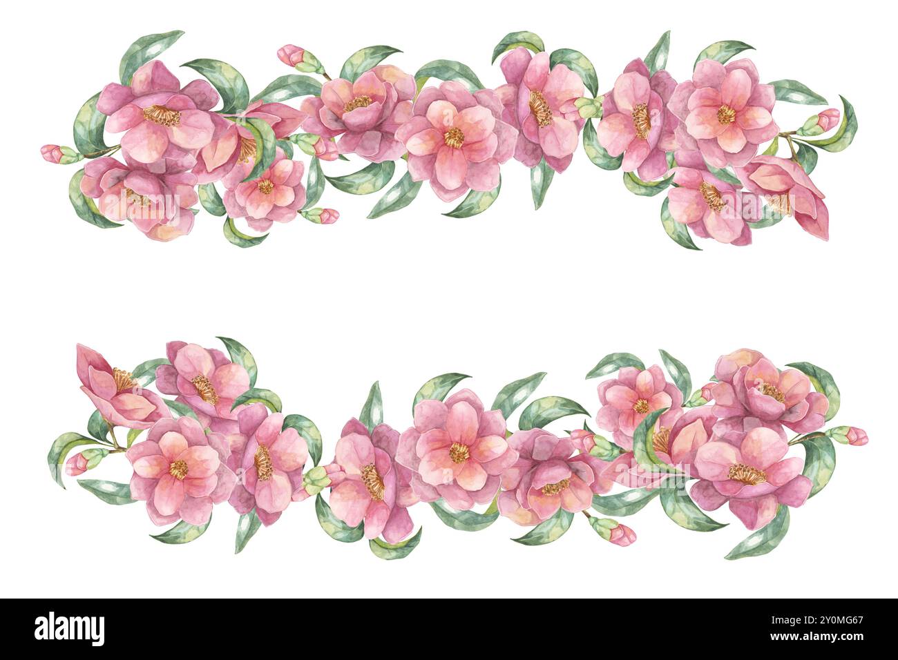Arrangement de fleurs de camélia roses et de feuilles vertes formant un cadre rectangulaire. Clipart aquarelle avec deux bordures florales pour décorer des invitations, des annonces ou des emballages Banque D'Images