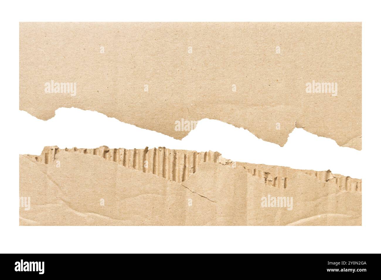 Pièce de carton ondulé déchiré révélant un bord texturé et une surface rugueuse à la lumière naturelle pendant les heures de lumière du jour. Isolé Banque D'Images