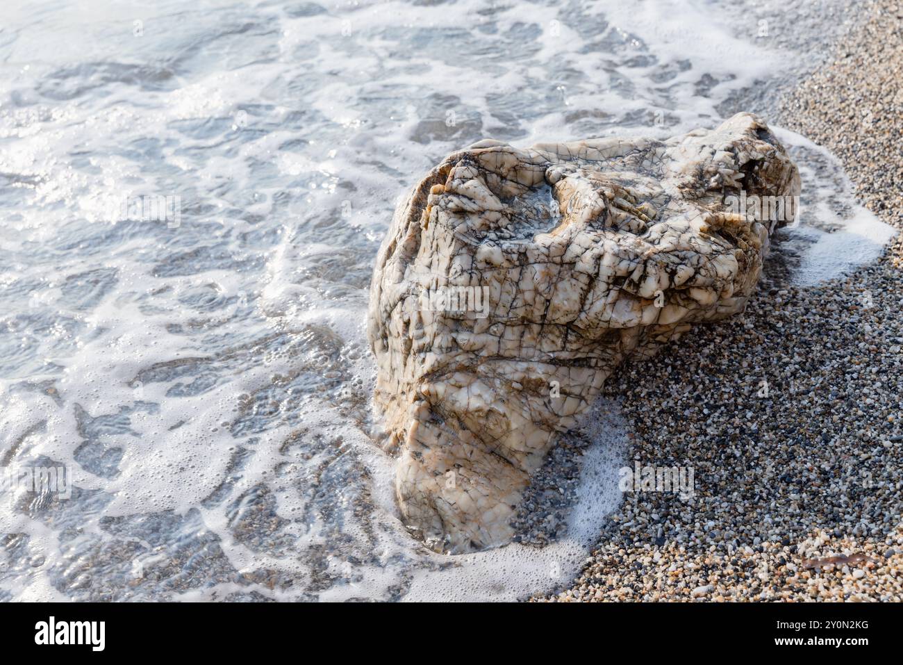Roche côtière blanche est dans le sable humide, photo naturelle Banque D'Images