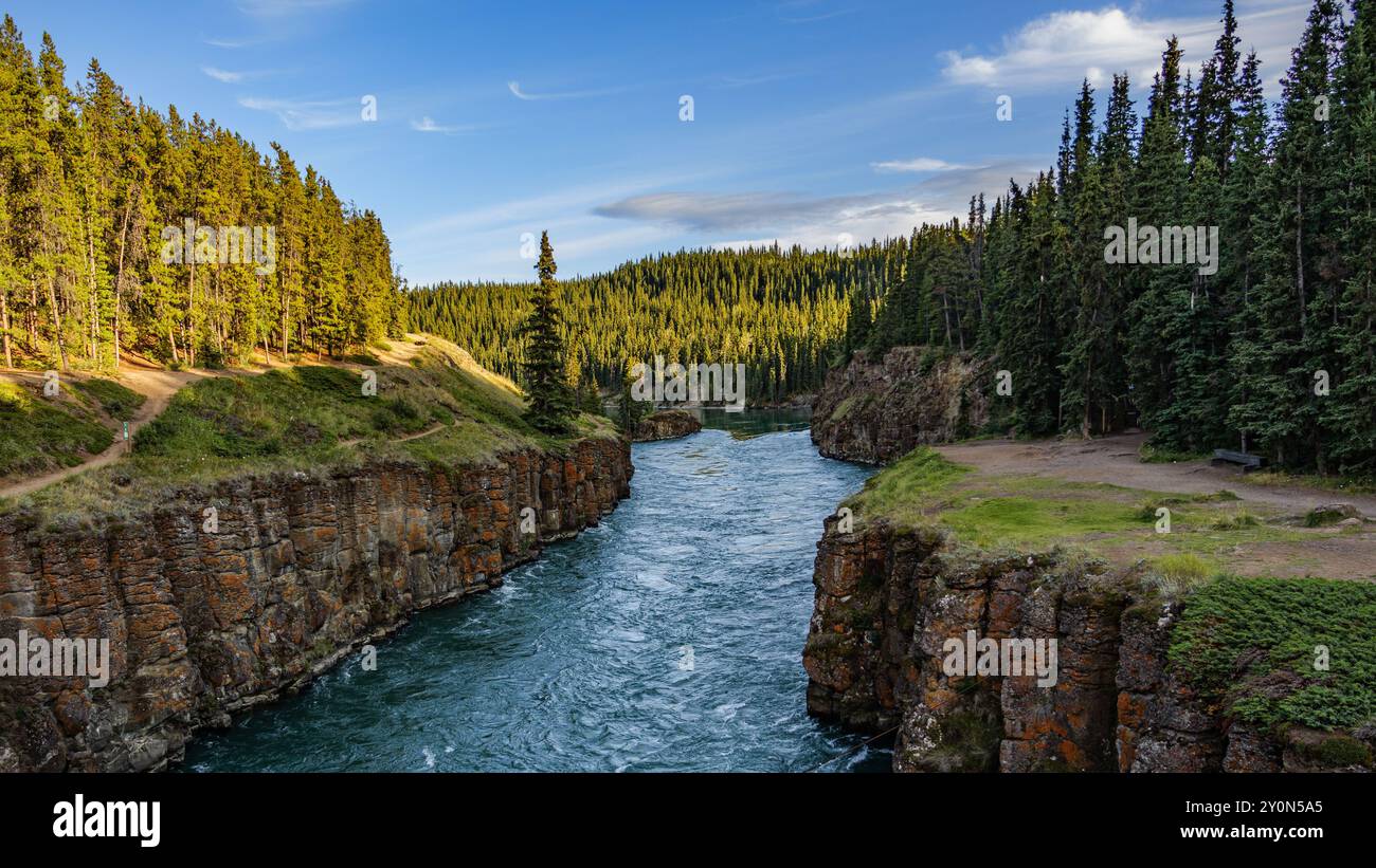 Vue sur le fleuve Yukon depuis le pont du canyon Miles. Banque D'Images Vue sur le fleuve Yukon depuis le pont du canyon Miles. Banque D'Images