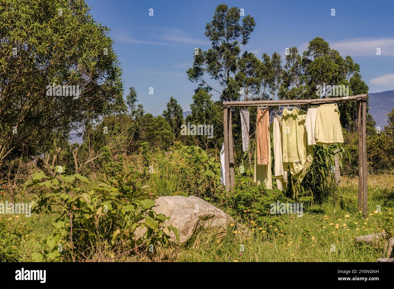 Une lessive séchant au soleil suspendu dans un jardin d'une ferme, dans un matin bleu clair, près de la ville coloniale de Villa de Leyva dans le centre de la Colombie. Banque D'Images