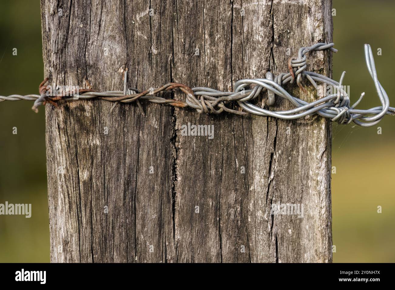 Photographie rapprochée et fil barbelé rouillé attaché à un plus récent et cloué au vieux poteau en bois d'une clôture, dans une ferme près de la ville d'Arcabuco. Banque D'Images