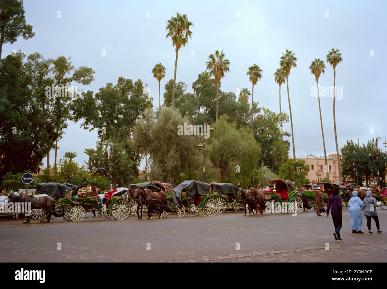 Les chevaux de tourisme caleche ou balades en calèche à la place de Foucauld à la Jemma el Fna à Marrakech au Maroc en Afrique du Nord Banque D'Images