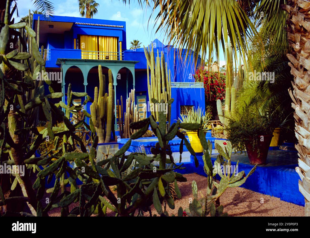 La maison et le jardin d'Yves Saint Laurent. Le jardin Majorelle à Marrakech au Maroc au Maghreb en Afrique du Nord. Banque D'Images