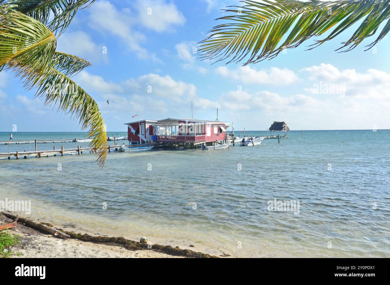 Caye Caulker - île au large de la côte du Belize dans la mer des Caraïbes Banque D'Images