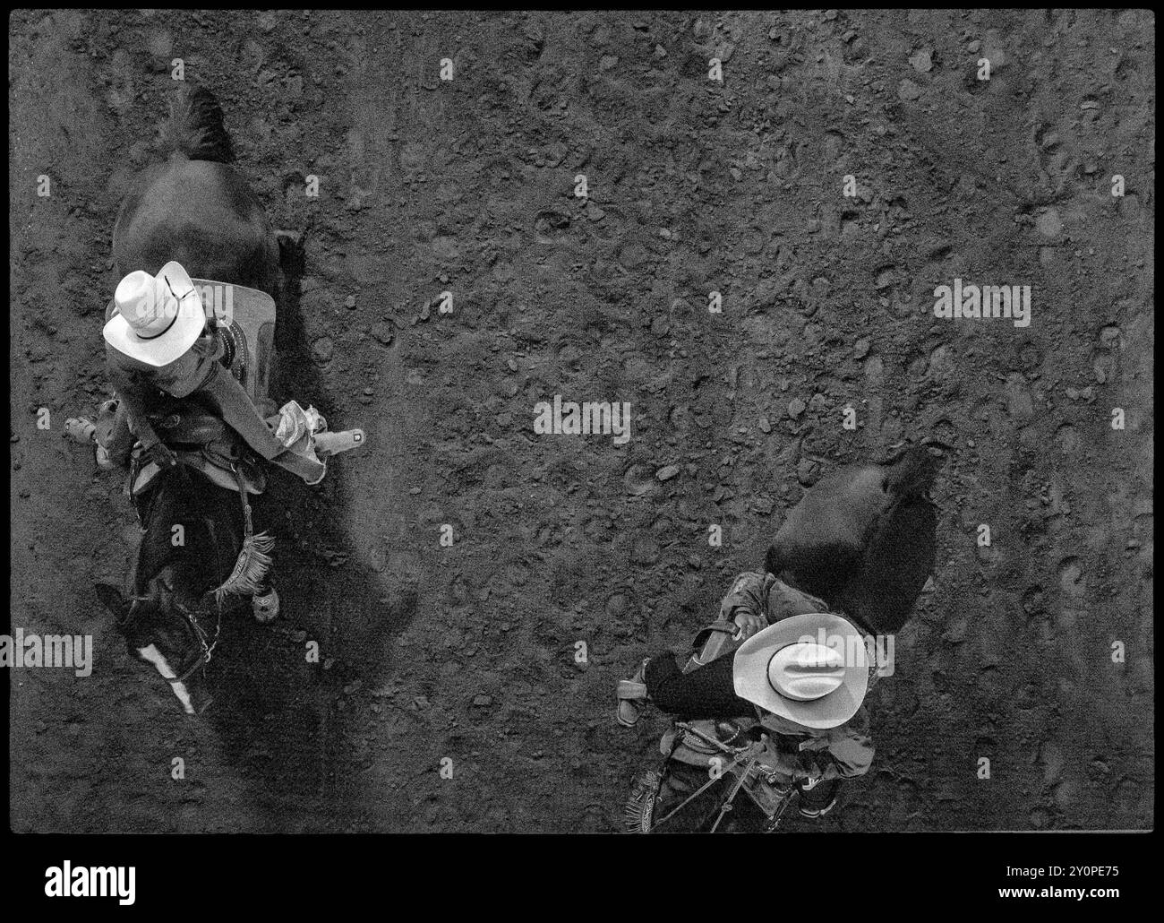 Scottsdale, Arizona, États-Unis. 31 août 2024. Les cow-boys dans la ruelle lors de la grande entrée au Arizona Black Rodeo à Scottsdale, AZ le samedi 31 août 2024. Black Rodeo USA organise neuf spectacles à travers le pays. (Crédit image : © Brian Branch Price/ZUMA Press Wire) USAGE ÉDITORIAL SEULEMENT! Non destiné à UN USAGE commercial ! Banque D'Images