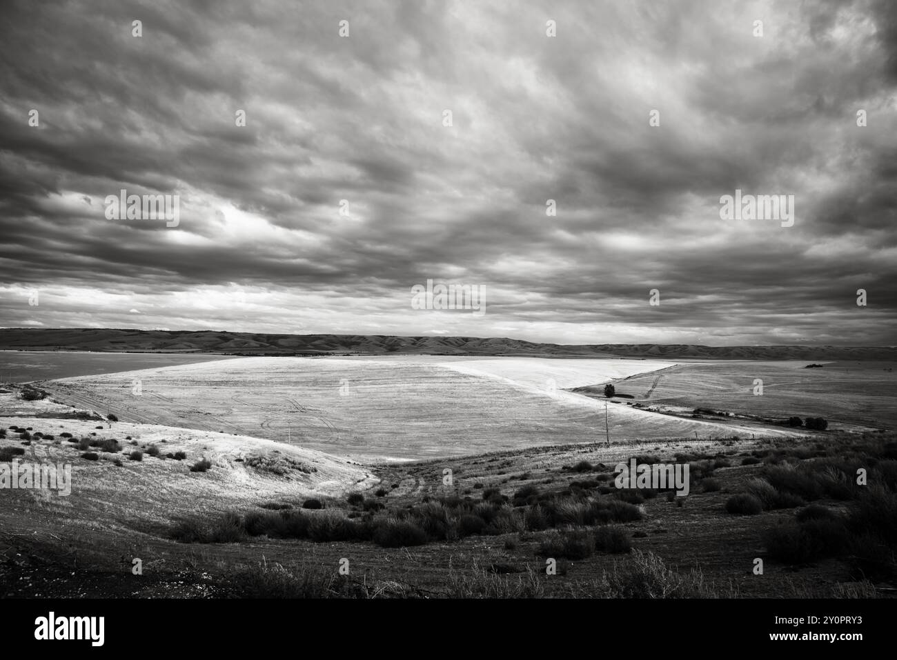 Coucher de soleil sur les champs de blé avec un ciel noir et blanc spectaculaire et au premier plan, dans l'est de l'Oregon. ÉTATS-UNIS. Banque D'Images